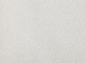 Gull Grey W397.04