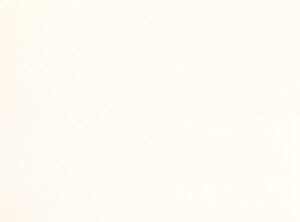 Whitewash W399.01