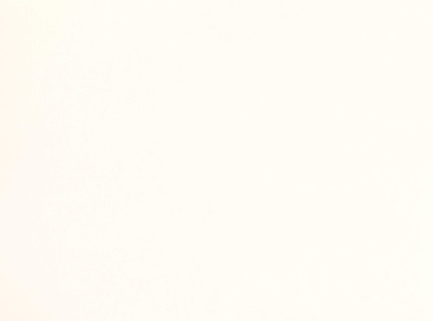 W399-01-asper-wallcovering-whitewash_02