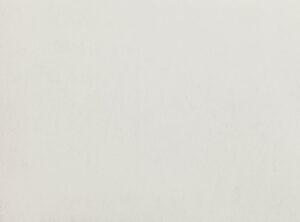 Gull Grey W399.04