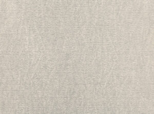 Silver Birch W404.03