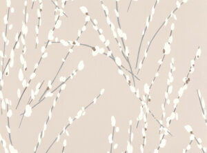 Hoya W406.04