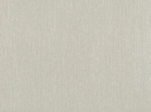 Fog W408.04