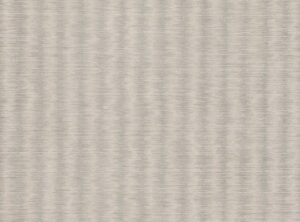 Silver Birch W419.02