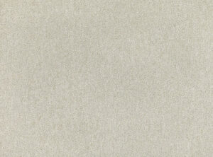 Kelp W423.07