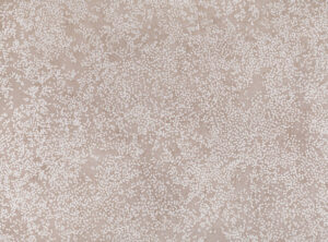 Wild Rose W424.03