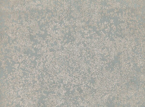 Silver Blue W424.04