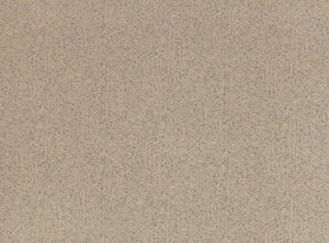 Andesite W426.07