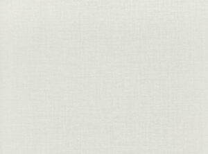 Niebla W429.02