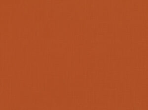Cinnamon V1043/263