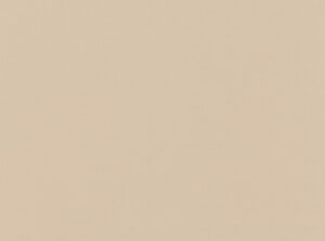 Buff 1149/05