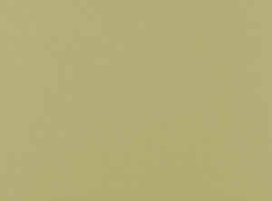 Celery 1149/172