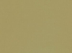 Olive 1149/173