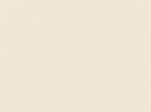 Cashew 1149/23