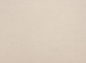 Pumice 2854/138