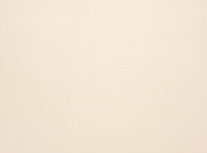 Parsnip 2854/143