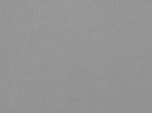 Squirrel 2854/156