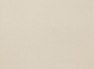 Birch 2854/160