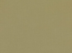 Khaki 2854/198