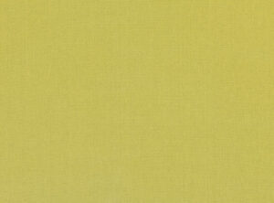 Wasabi 2854/201