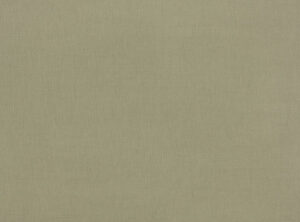 Willow 2854/47