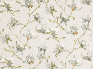 Eucalyptus 7748/03