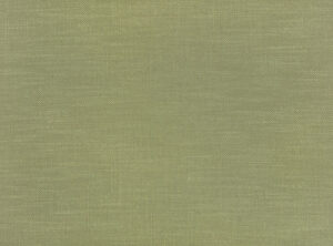 Matcha 7958/45