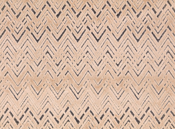 9105-06-zola-shell_02