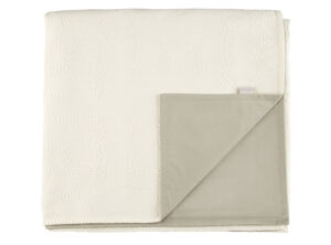 Chalk THV3405.01