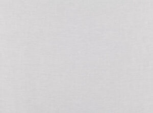 Silver V3099/02