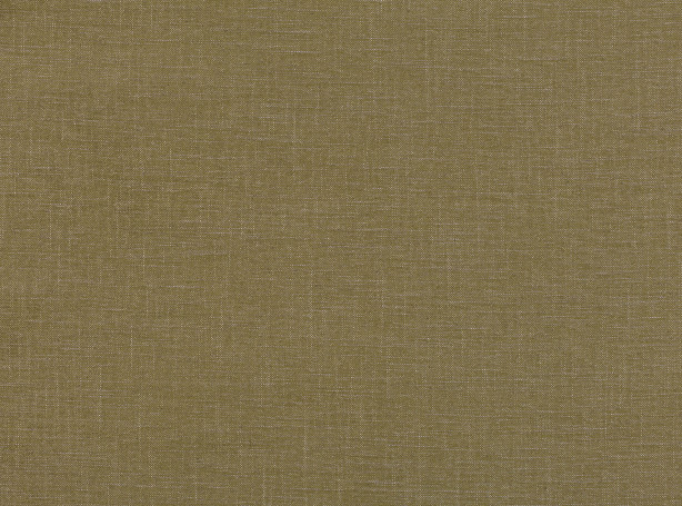 V3136-26-alberta-sapling_01