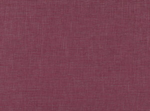 Verbena V3136/36