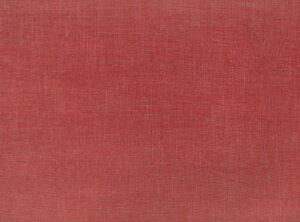 Paprika V3136/55