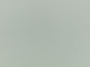 Dew V3147/02