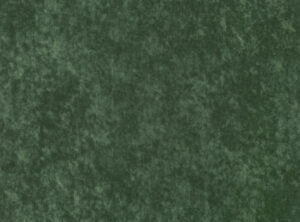 Oregano V3224/17