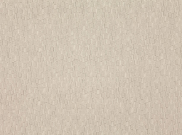 V3450-02-muse-birch_01