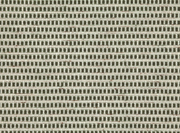 V3470-06-gilman-kelp_01