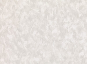 Ice W554.05