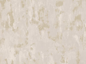Pumice W556.02