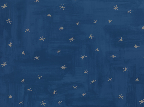 W581-03-twinkle-twinkle-wallcovering-_01