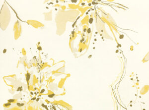 Acacia W593.01