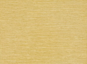 Acacia W595.11
