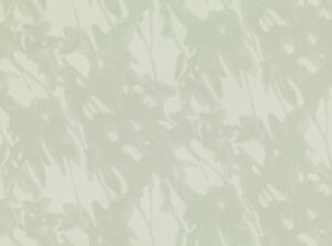 Marjoram W600.01
