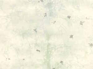 Dew W601.03
