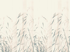 Oasis W608.03