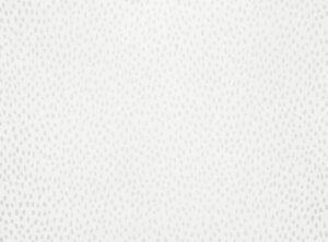 Birch W618.02