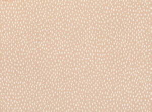 Plaster W618.06