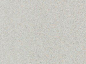 Ash WK811/09