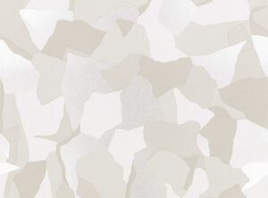 Shell WK814/02