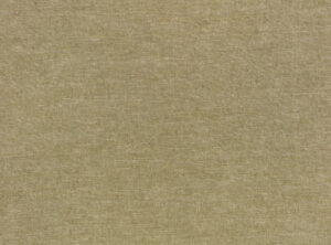 Olive Z637/06